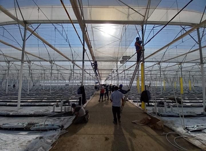 Capacitacion (Mediana)